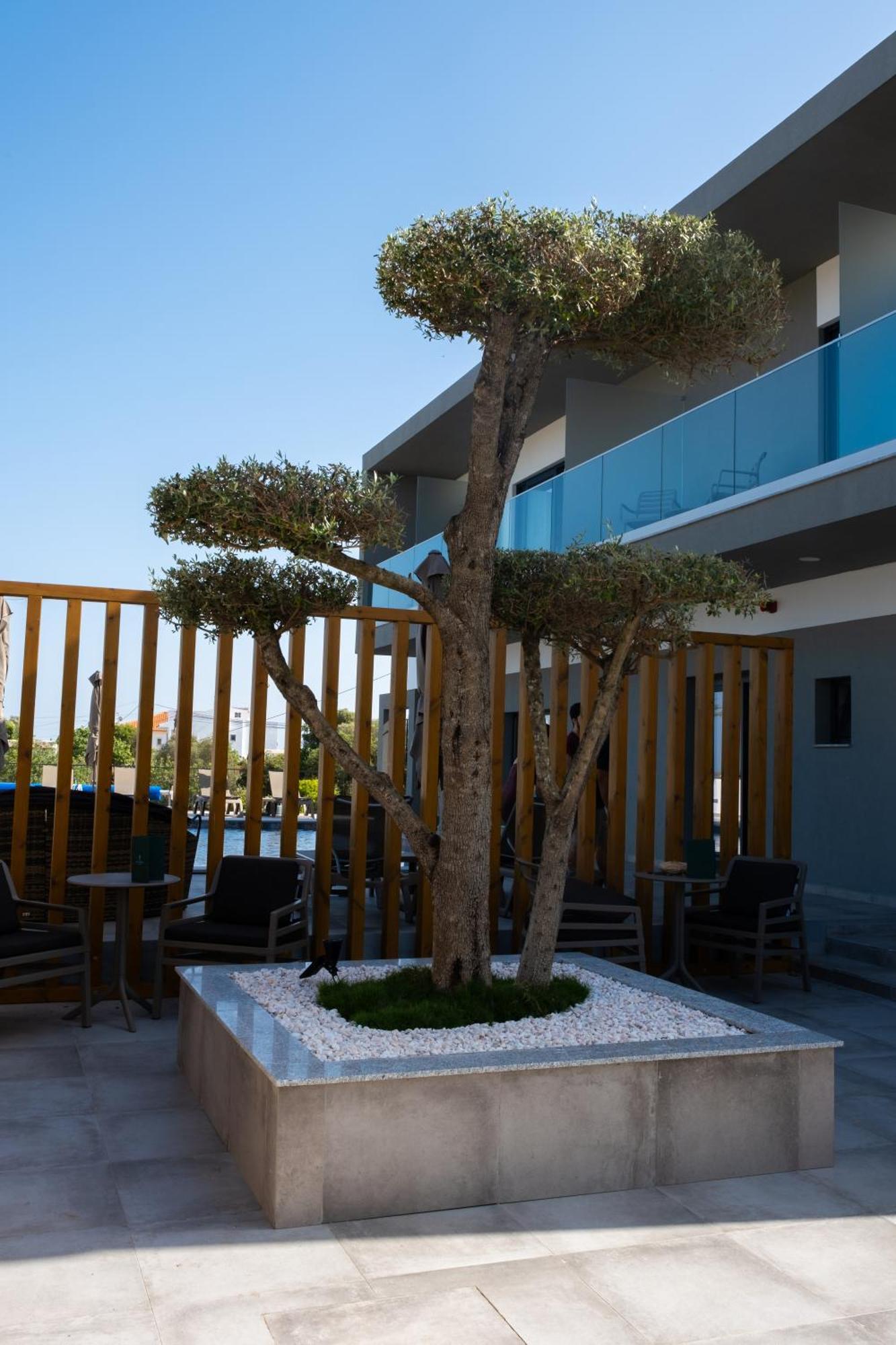 Ria Formosa Guest House FAO Dış mekan fotoğraf